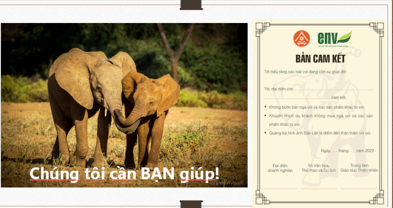 Bản cam kết chung tay quảng bá hình ảnh Đắk Lắk điểm đến thân thiện với voi.